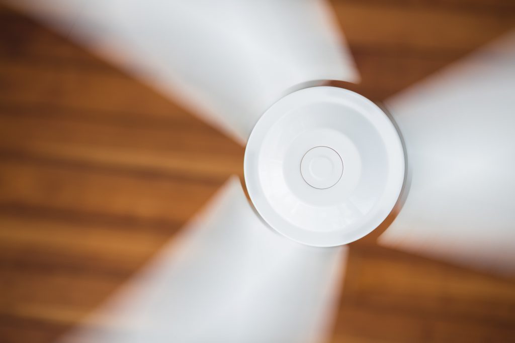 white fan